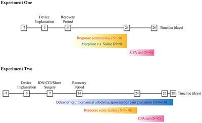 A novel implantable device for sensory and affective assessment of orofacial pain in rats